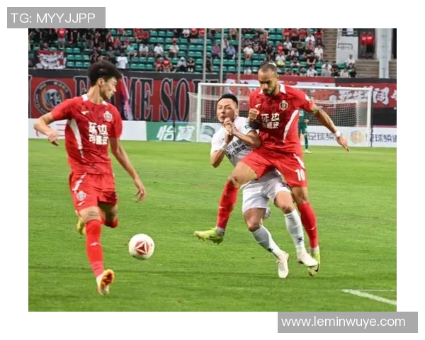 足球C区的魅力与挑战探索球迷文化与赛事发展新机遇