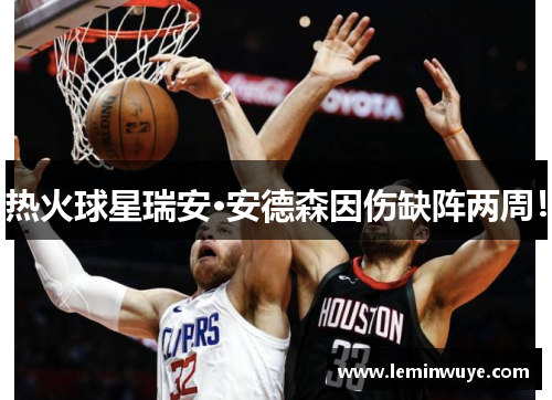 热火球星瑞安·安德森因伤缺阵两周！