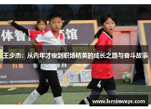 王少杰：从青年才俊到职场精英的成长之路与奋斗故事